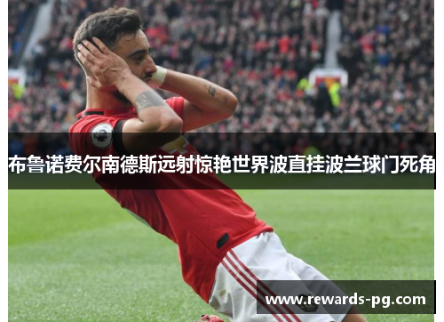 布鲁诺费尔南德斯远射惊艳世界波直挂波兰球门死角